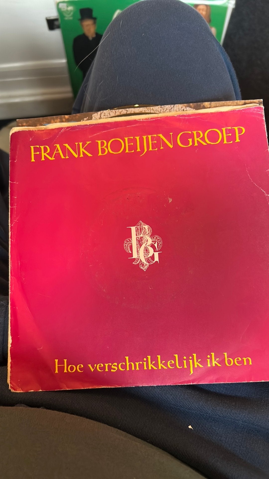 Frank Boeijen groep - hoe verschrikkelijk ik ben, Ophalen of Verzenden, Zo goed als nieuw, Nederlandstalig