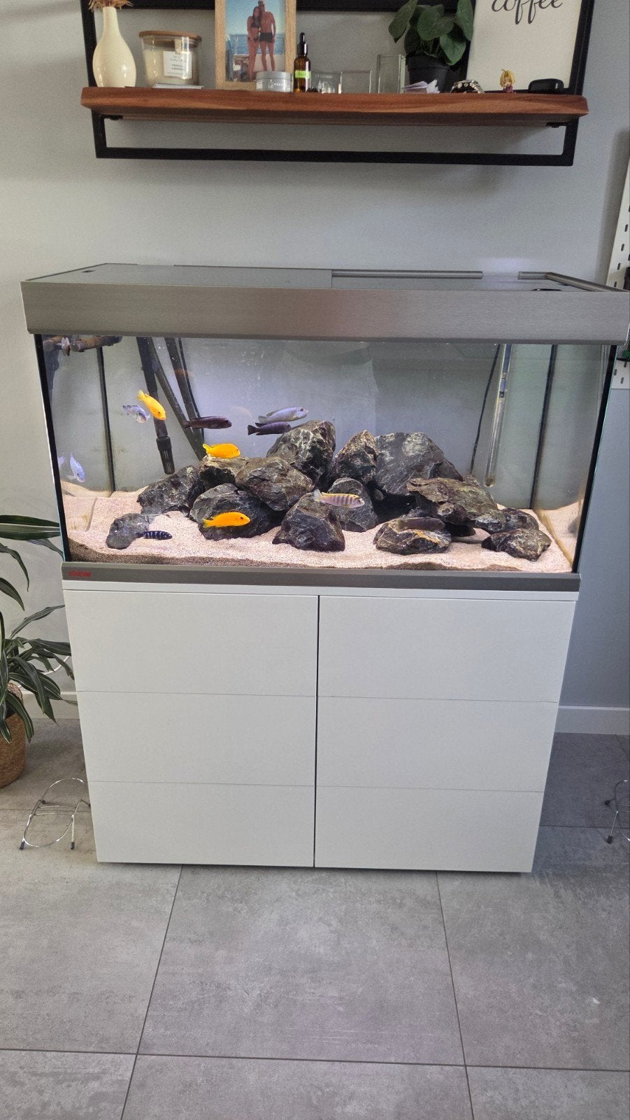 Eheim Proxima 250 inclusief meubel en pomp, Ophalen, Gebruikt, Pomp, Aquariummeubel
