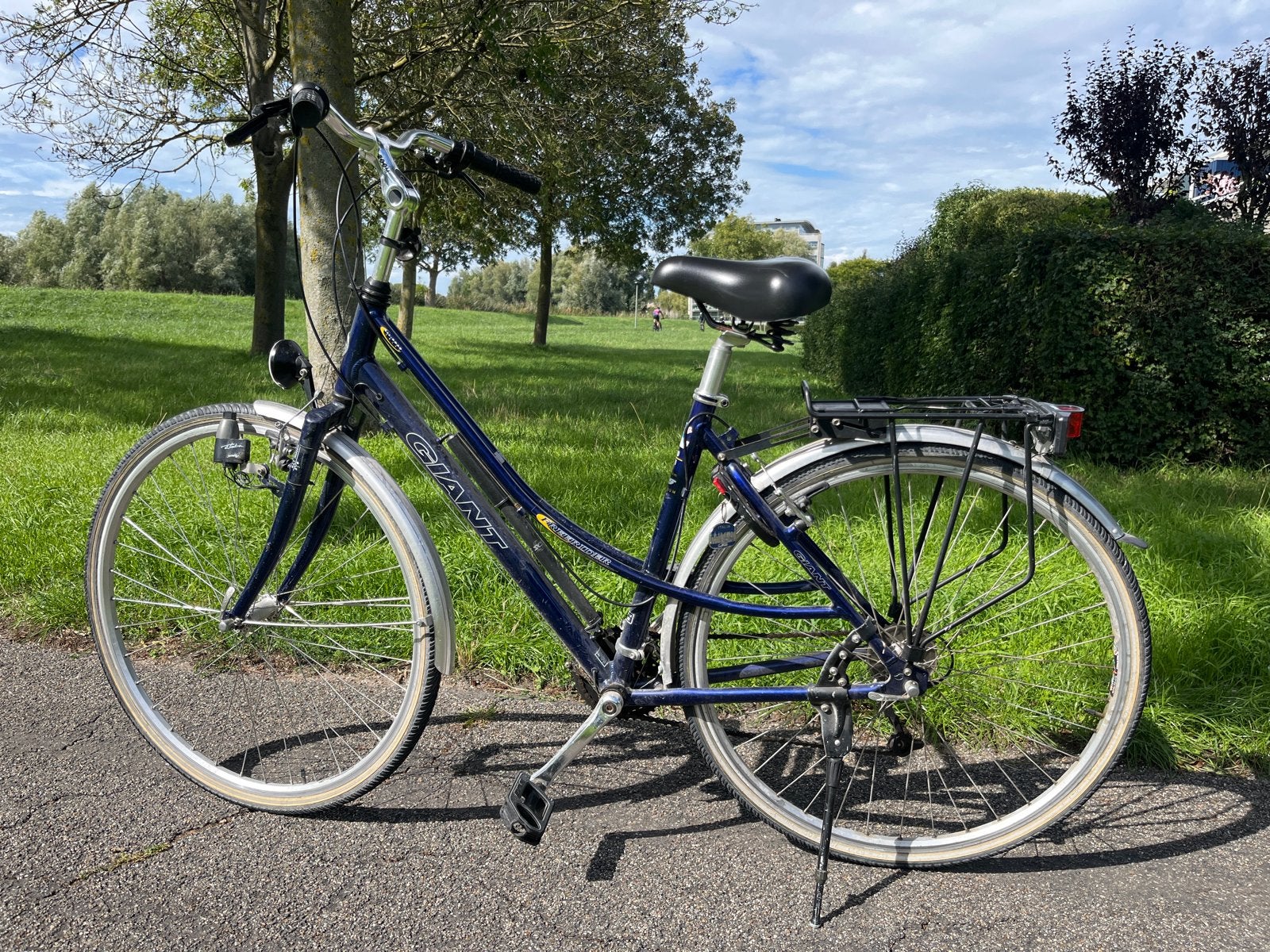 Giant Freerider Damesfiets - Blauw, Goede Staat, 53 tot 56 cm, Velgrem, Versnellingen, Zo goed als nieuw