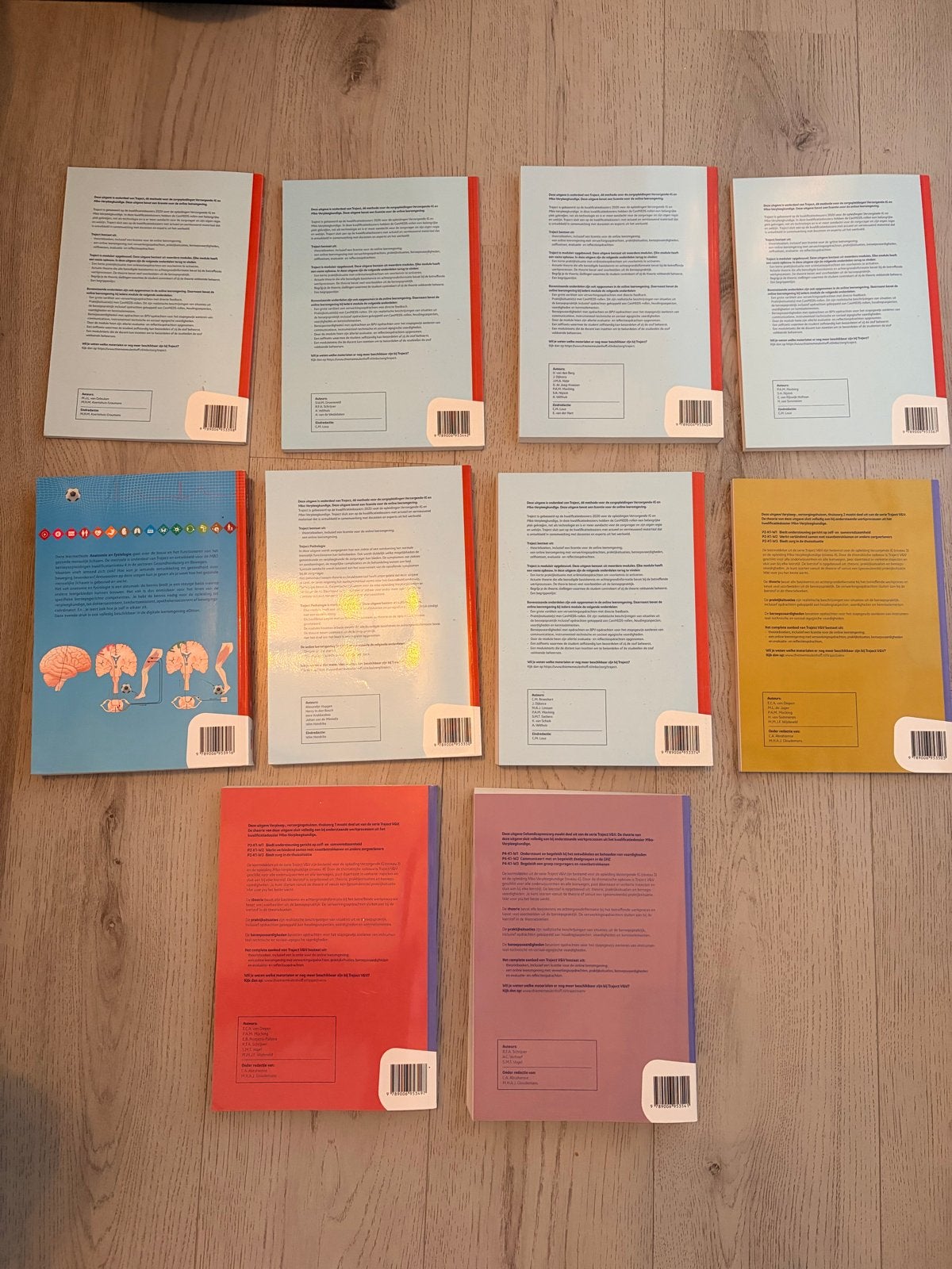 Traject V&V boeken MBO Verpleegkunde (10 stuks), Ophalen, Gamma, Zo goed als nieuw, MBO