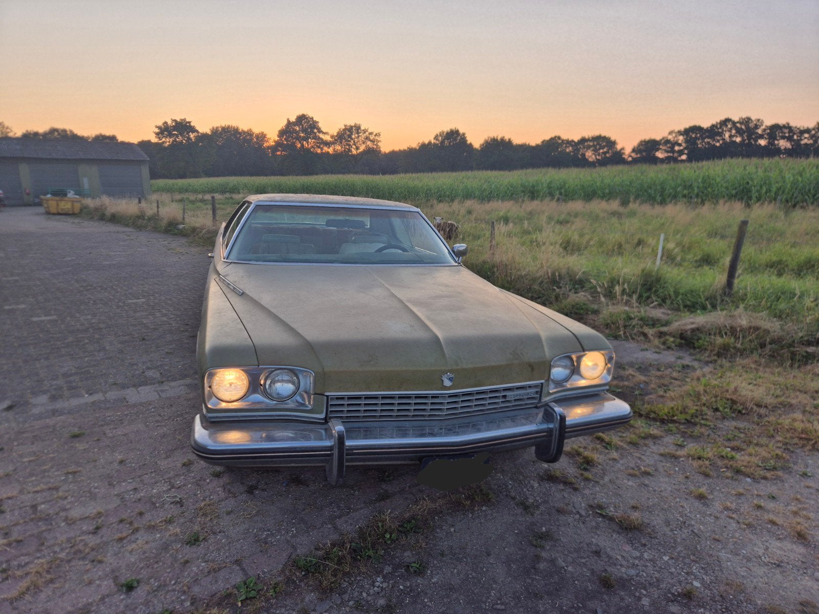 Buick Coupé Electra 225 1973 Benzine 455 4b Big Block, Automaat, 8 cilinders, Overige kleuren, Particulier
