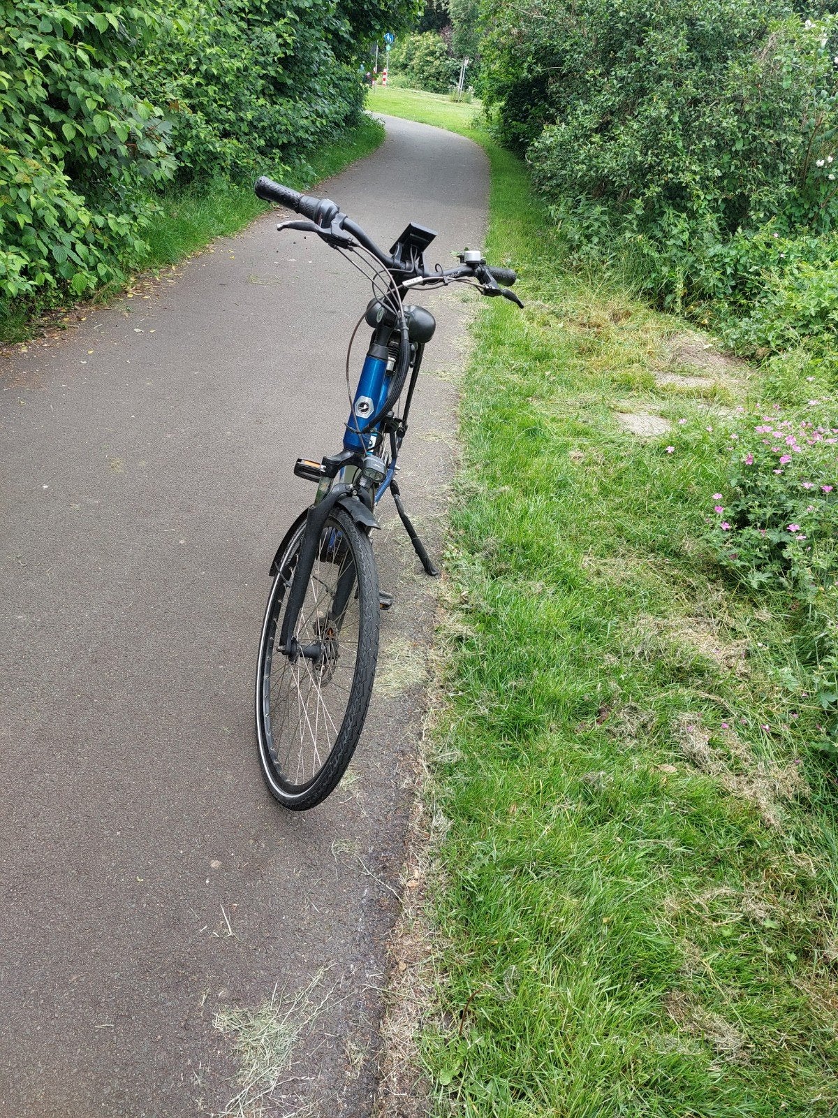 Elektrische damesfiets merk amslot, 55 cm of meer, Ophalen of Verzenden, Minder dan 10 versnellingen