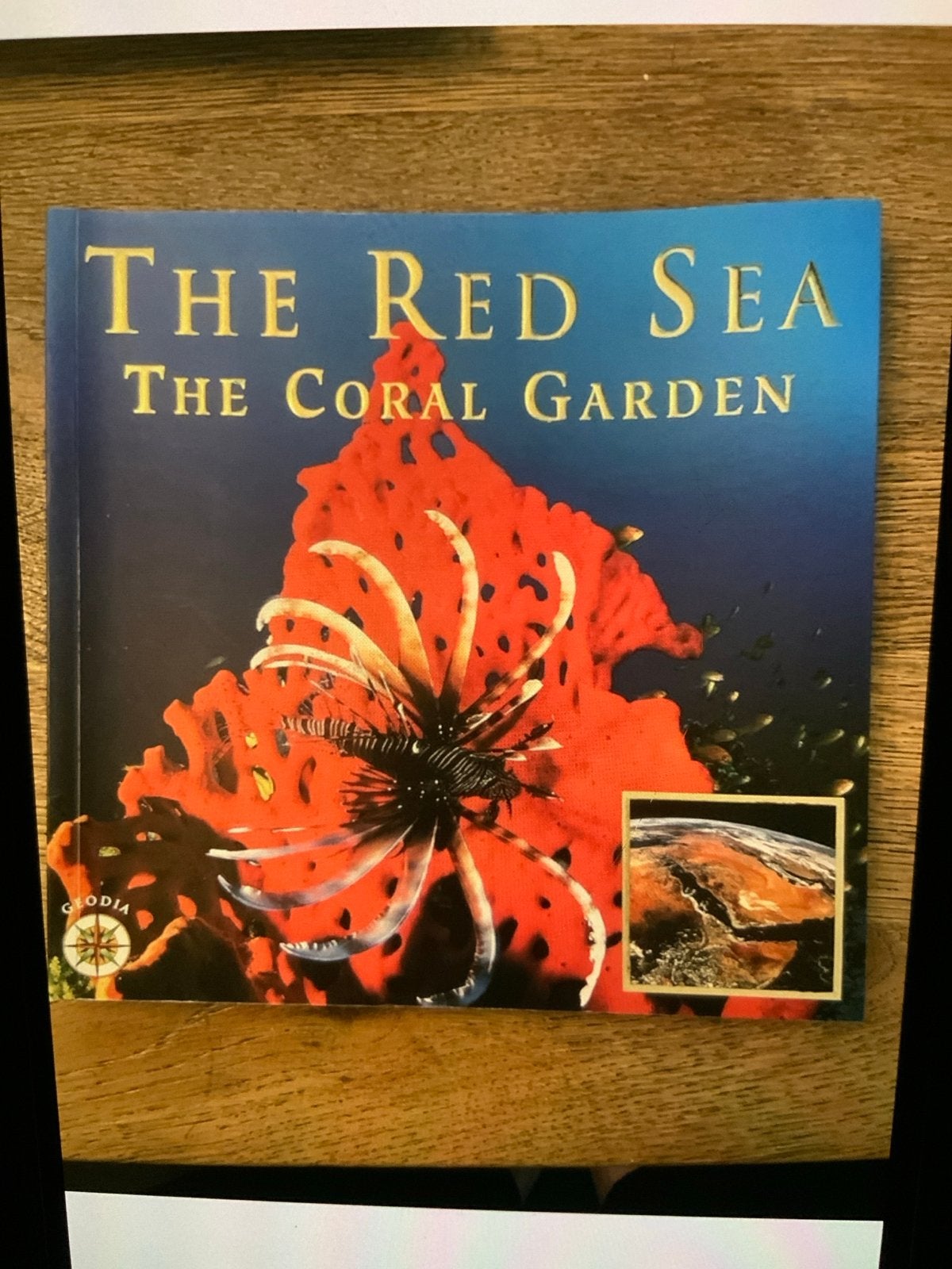 The Red Sea The Coral Garden  (ENG), Ophalen of Verzenden, Zo goed als nieuw, Natuur algemeen