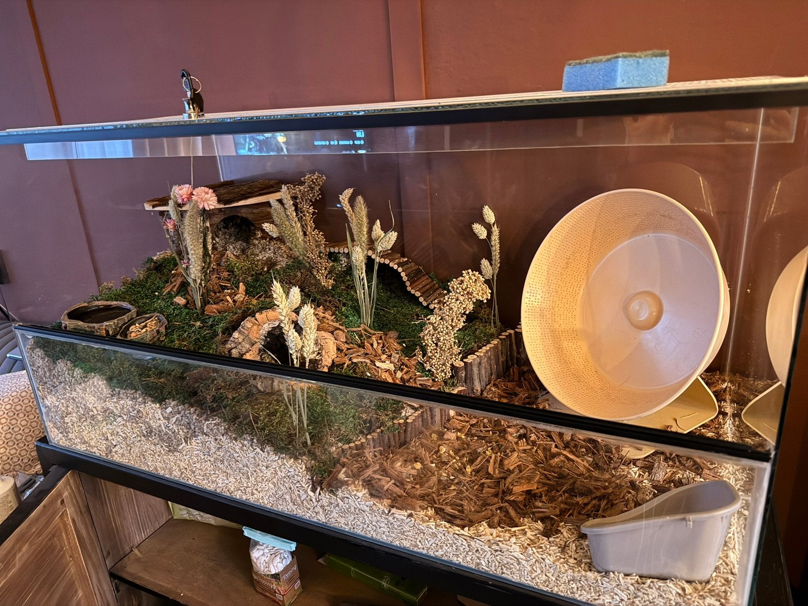 Hamsterscape inrichting - Heureka looprad, Dieren en Toebehoren, Ophalen, Zo goed als nieuw, Overige typen