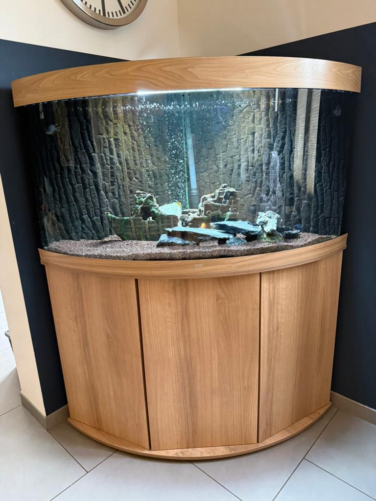 Aquarium Juwel Vision 260 Led 3 jaar oud compleet, Dieren en Toebehoren, Vissen | Aquaria en Toebehoren, Ophalen, Leeg aquarium