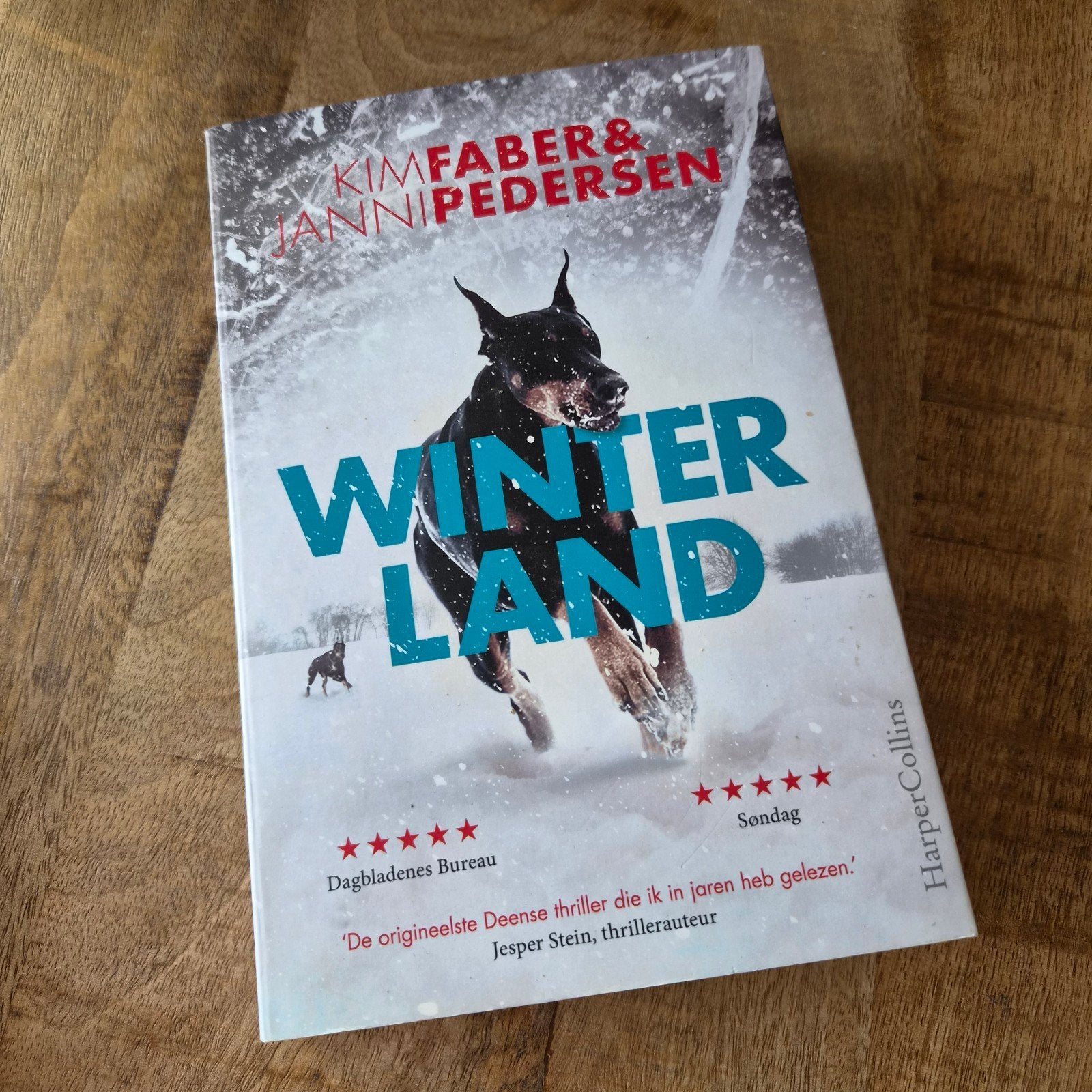 Kim Faber - Winterland, Ophalen of Verzenden, Zo goed als nieuw, Kim Faber; Janni Pedersen