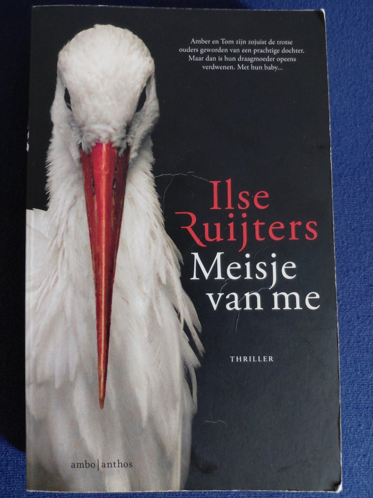 Ilse Ruijters Meisje van me, Ophalen of Verzenden