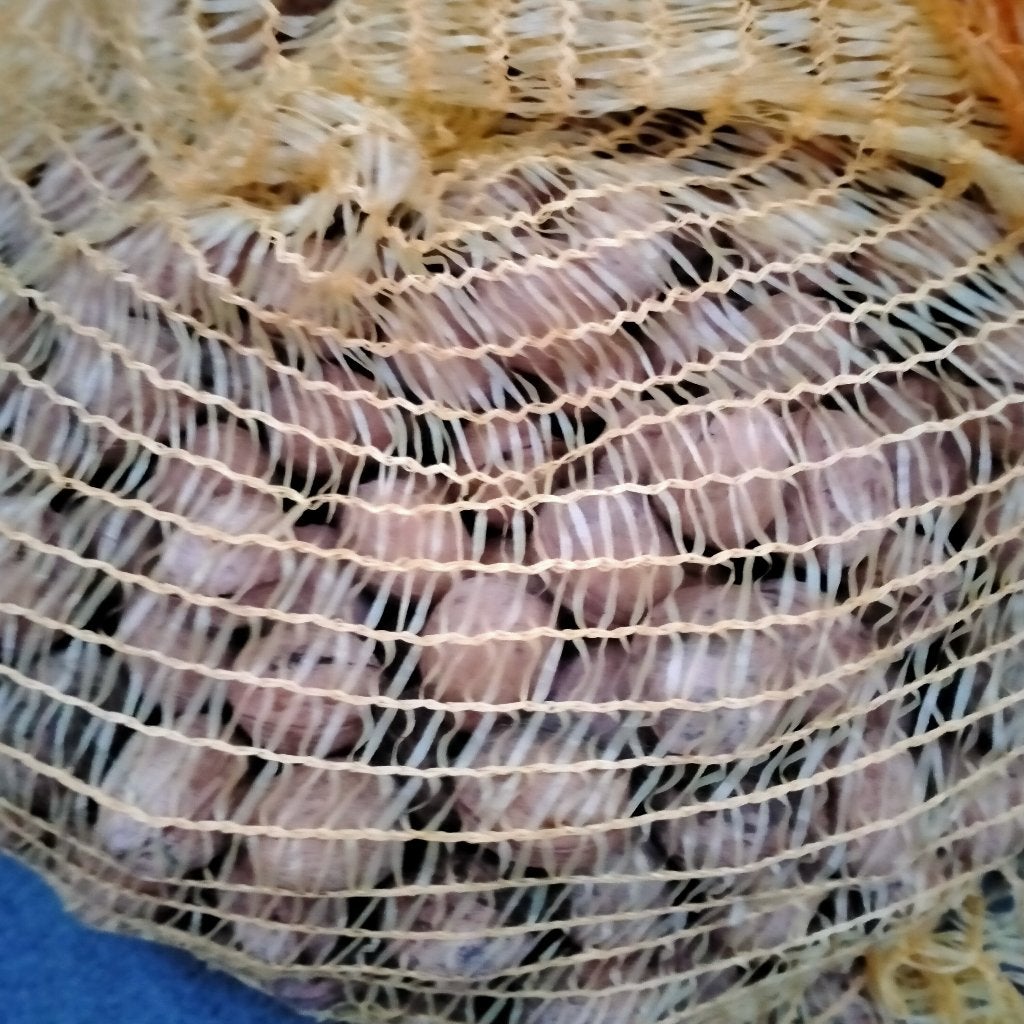 Te koop verse  walnoten 2026, € 3.50 per kg, Ophalen