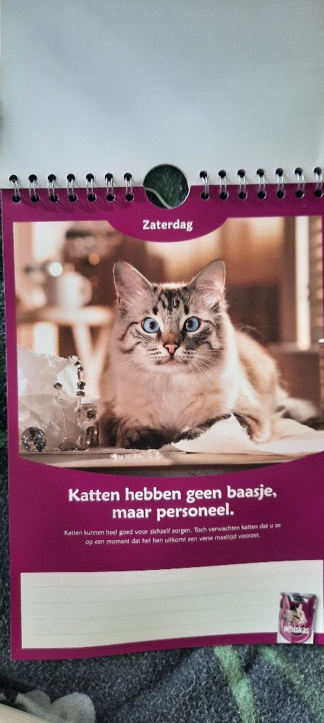 ken uw kat kalender - whiskas - nieuw, Ophalen of Verzenden, Nieuw, Gebruiksvoorwerp