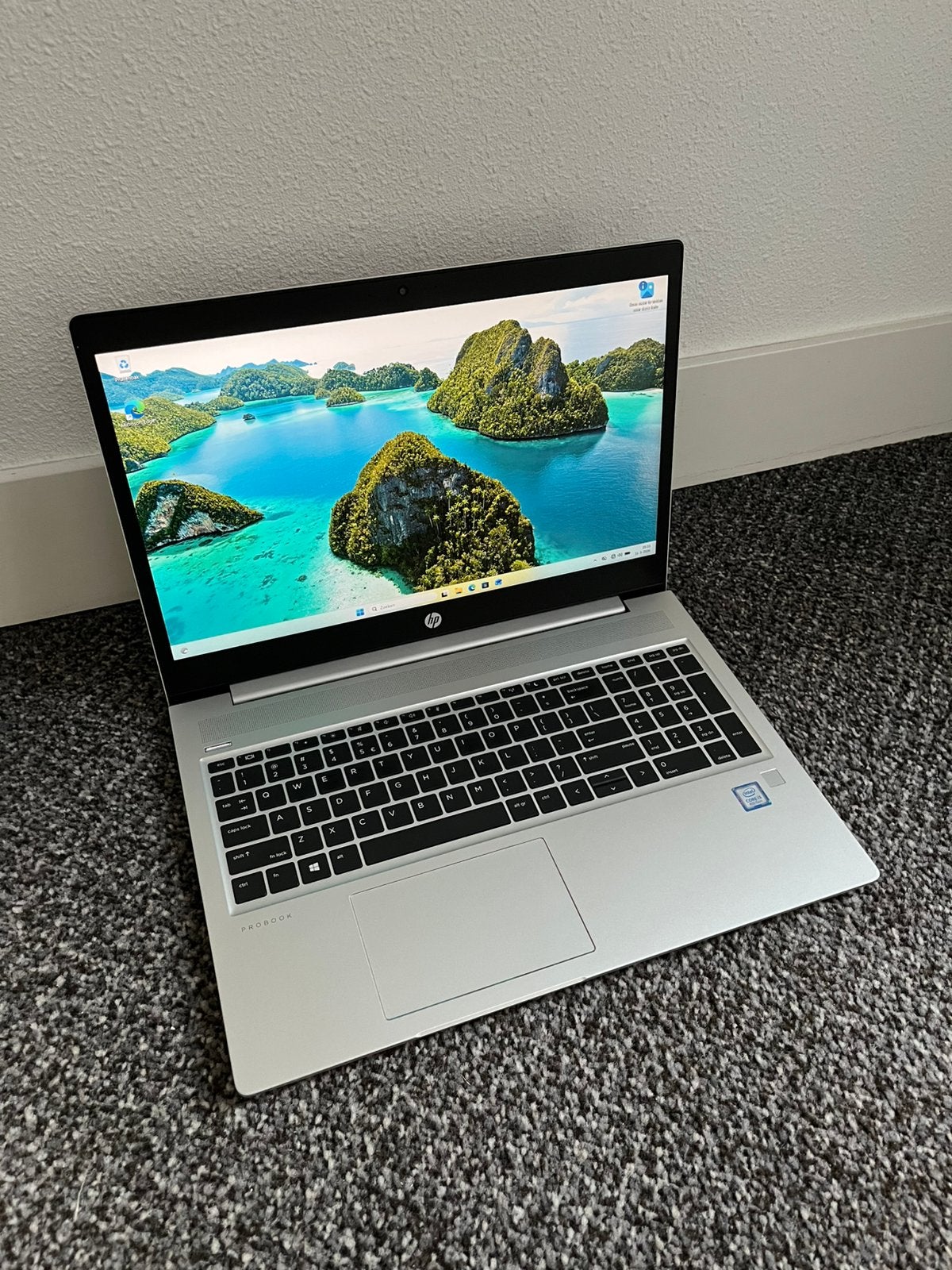 HP ProBook 450 G6 Windows 11, Computers en Software, Windows Laptops, 2 tot 3 Ghz, 8 GB, Ophalen of Verzenden, Zo goed als nieuw