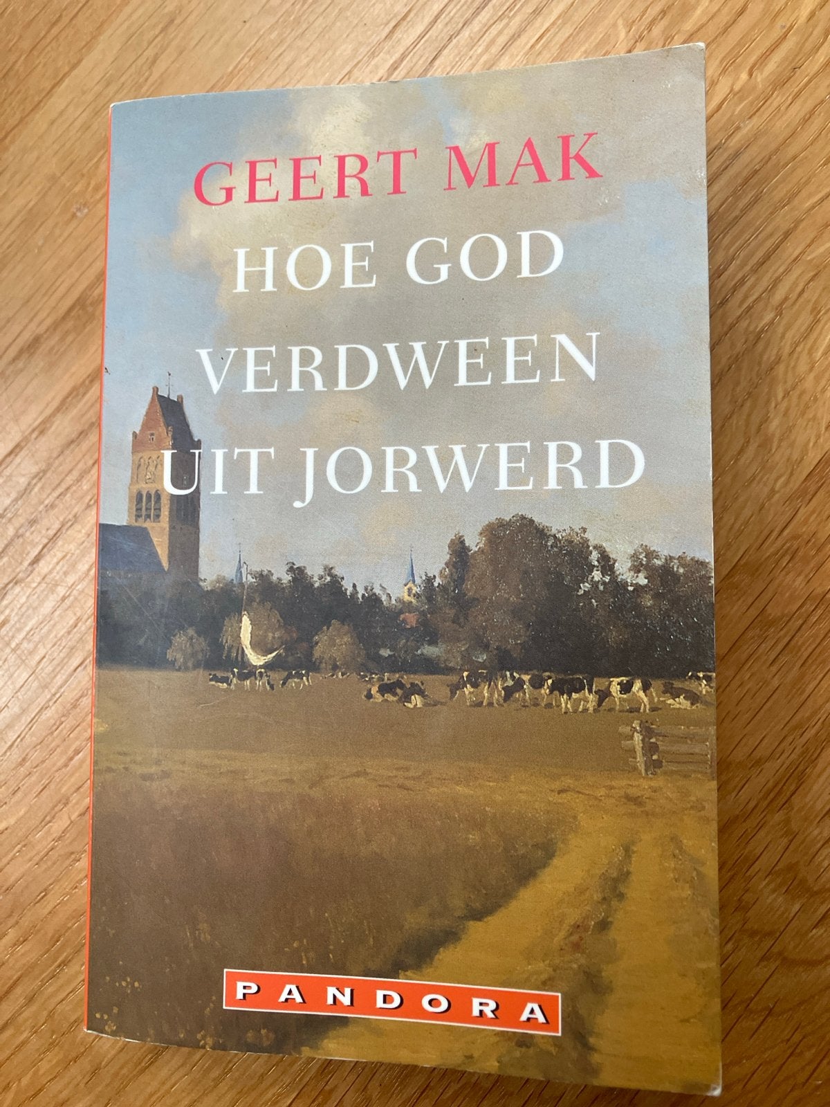 Geert Mak - Hoe God verdween uit Jorwerd, Ophalen of Verzenden, Gelezen, Overige