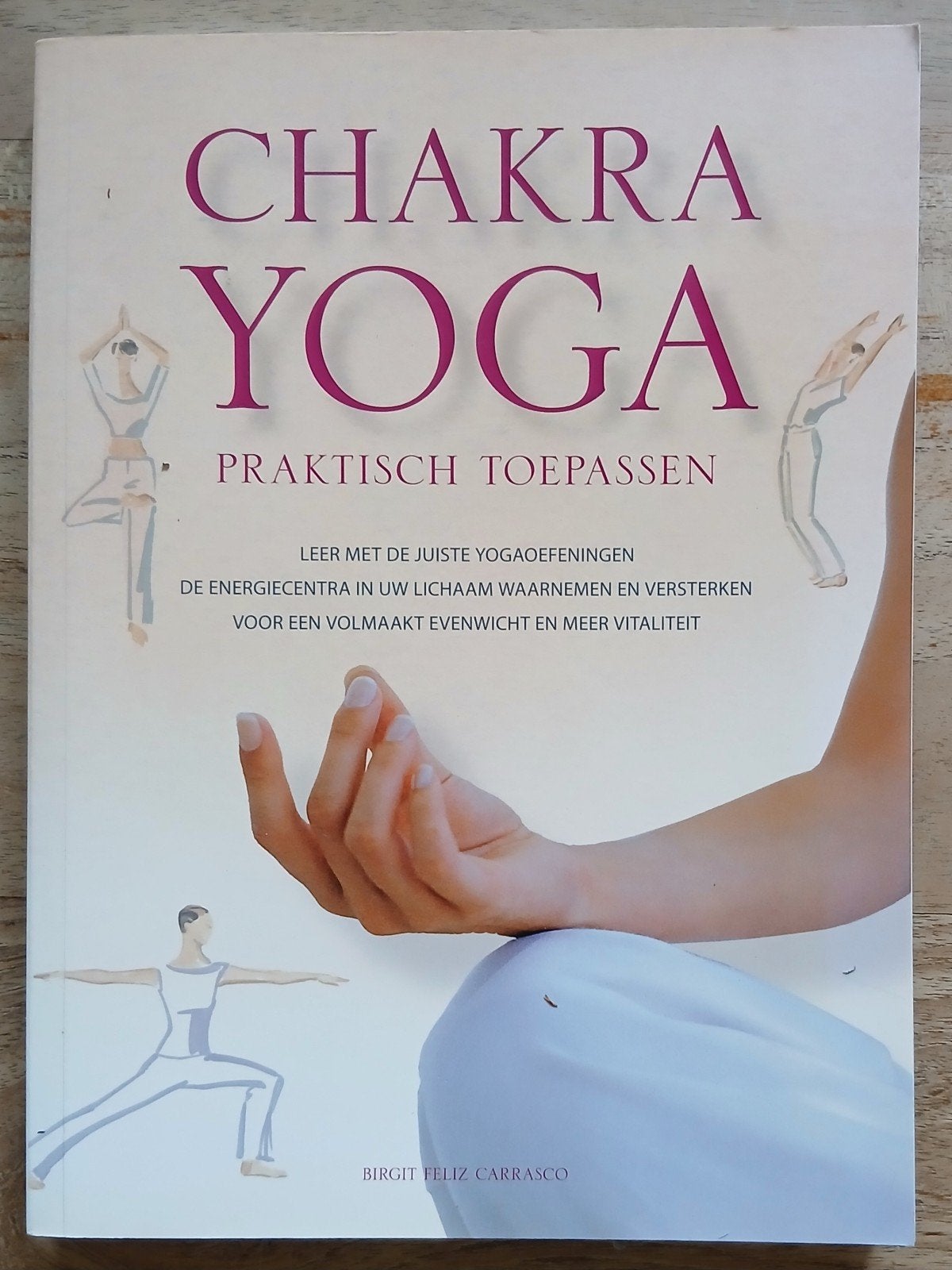 Birgit Feliz Carrasco, Chakra Yoga praktisch toepassen, Boeken, Ophalen of Verzenden, Gelezen