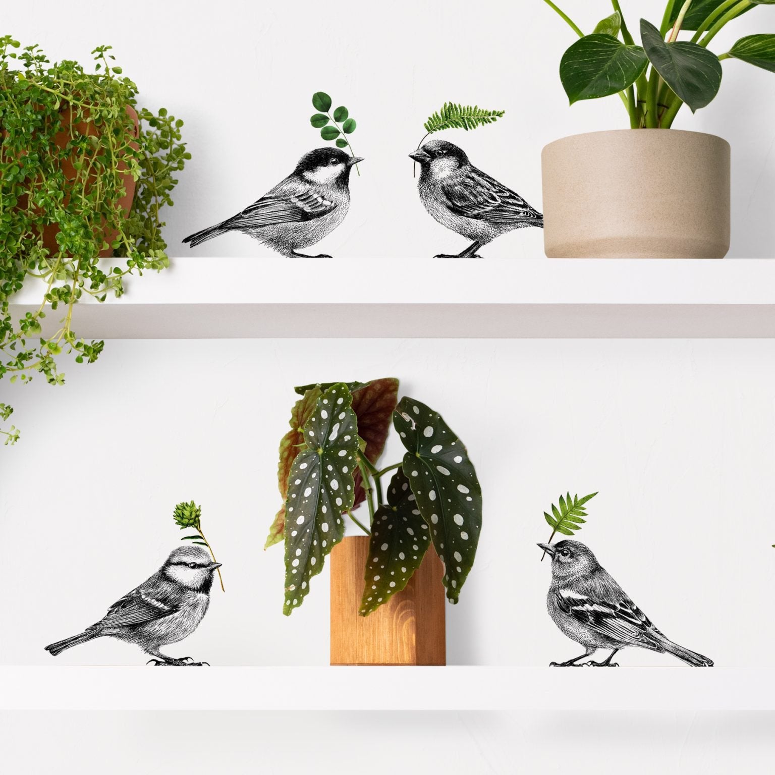 Muursticker vogel set, Ophalen of Verzenden, Nieuw, Meerdere stickers