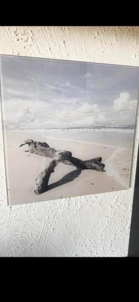 mooie FOTO-PRINT OP GLASPLAAT, Minder dan 50 cm, Overige typen, Ophalen of Verzenden, Zo goed als nieuw