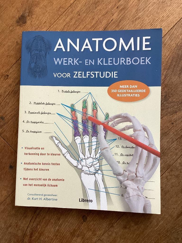 Anatomie Werk en kleurboek voor zelfstudie, Zo goed als nieuw, Kurt H. Albertine, Beta, HBO