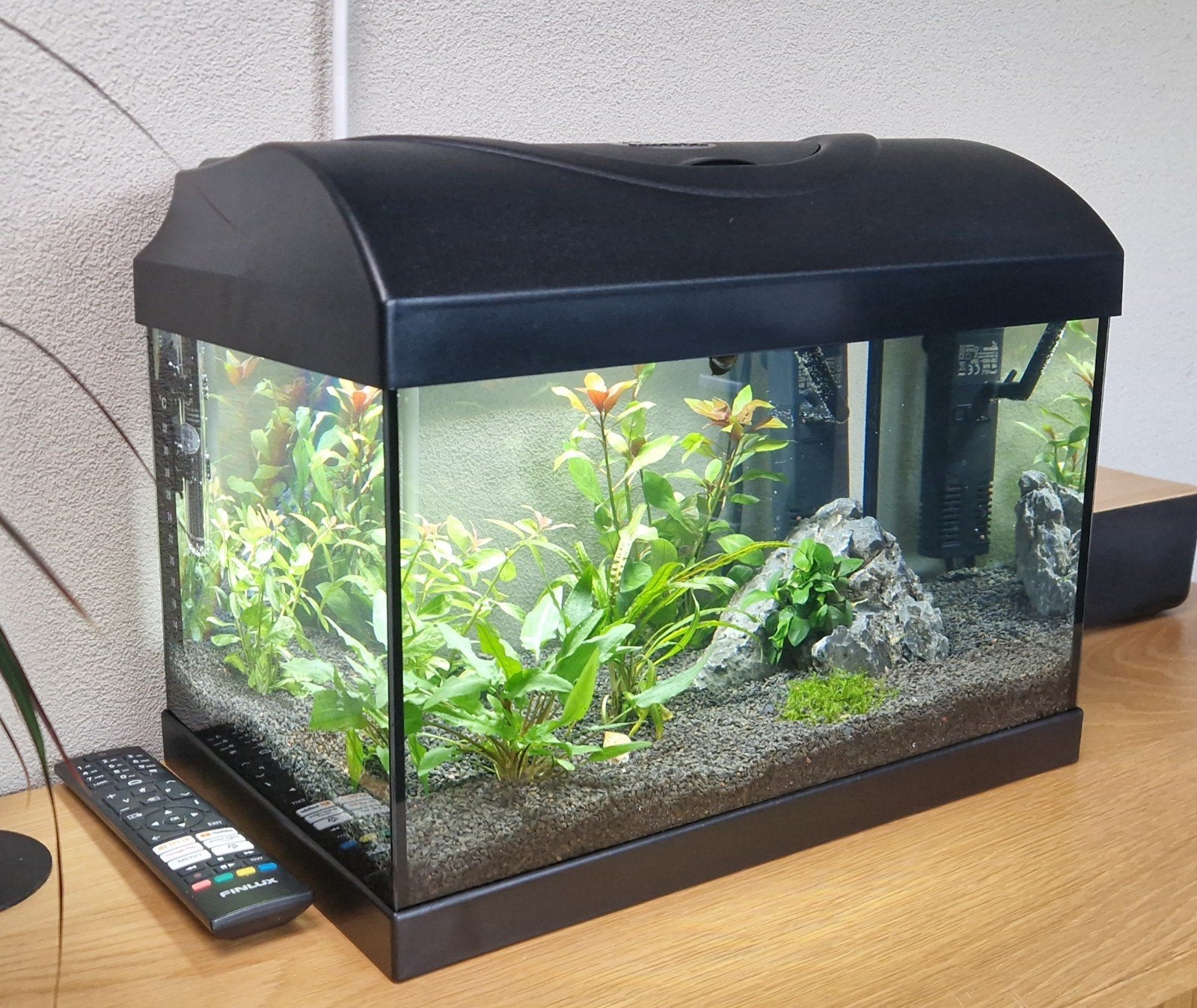 beginners aquarium incl filter en verwarming nieuw!, Ophalen, Inclusief toebehoren, Zo goed als nieuw, Leeg aquarium