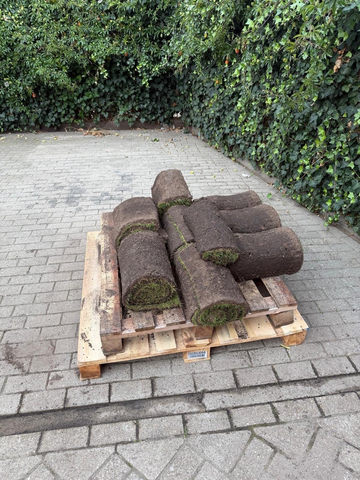 8 m² grasmatten - direct een groen gazon!, Tuin en Terras, Ophalen, Nieuw, Minder dan 10 m², Gras
