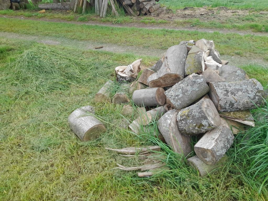 Haardhout blokken, beuk, Minder dan 3 m³, Ophalen