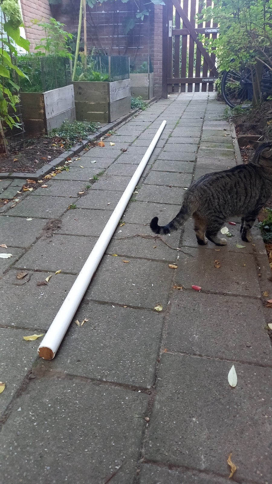 Houten trapleuning wit geverfd 45mm x 375cm, Ophalen, Gebruikt, 25 tot 50 mm, Overige typen