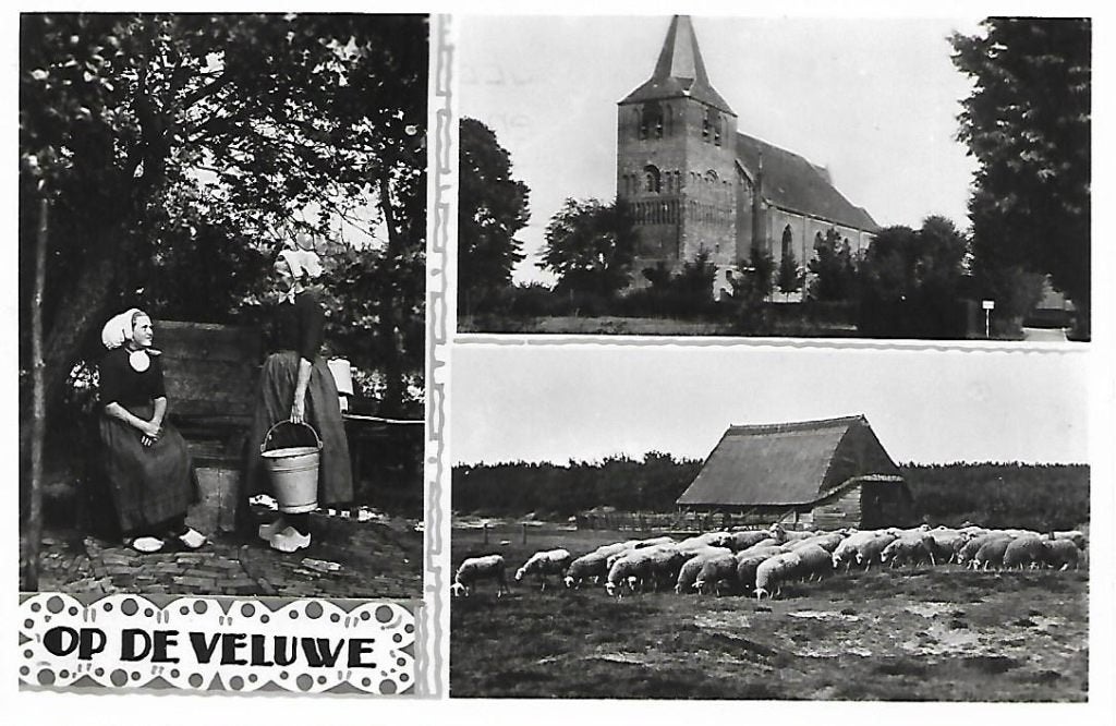 Gelderland- -3-luik., Ophalen of Verzenden, 1940 tot 1960, Gelopen, Gelderland