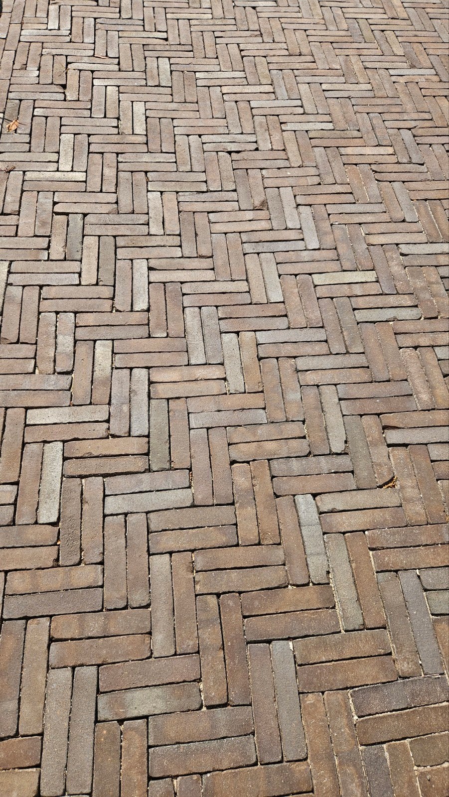 Klinkers voor Tuin of Oprit, Ophalen, Nieuw, Beton, Klinkers