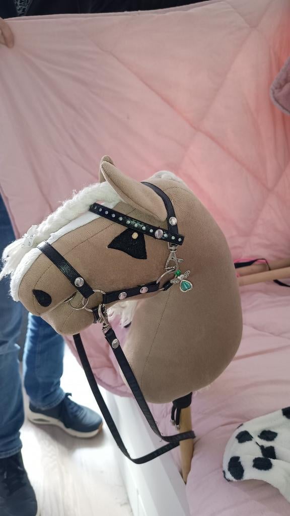 Hobbyhorse met hoofdstel, Ophalen, Jongen of Meisje