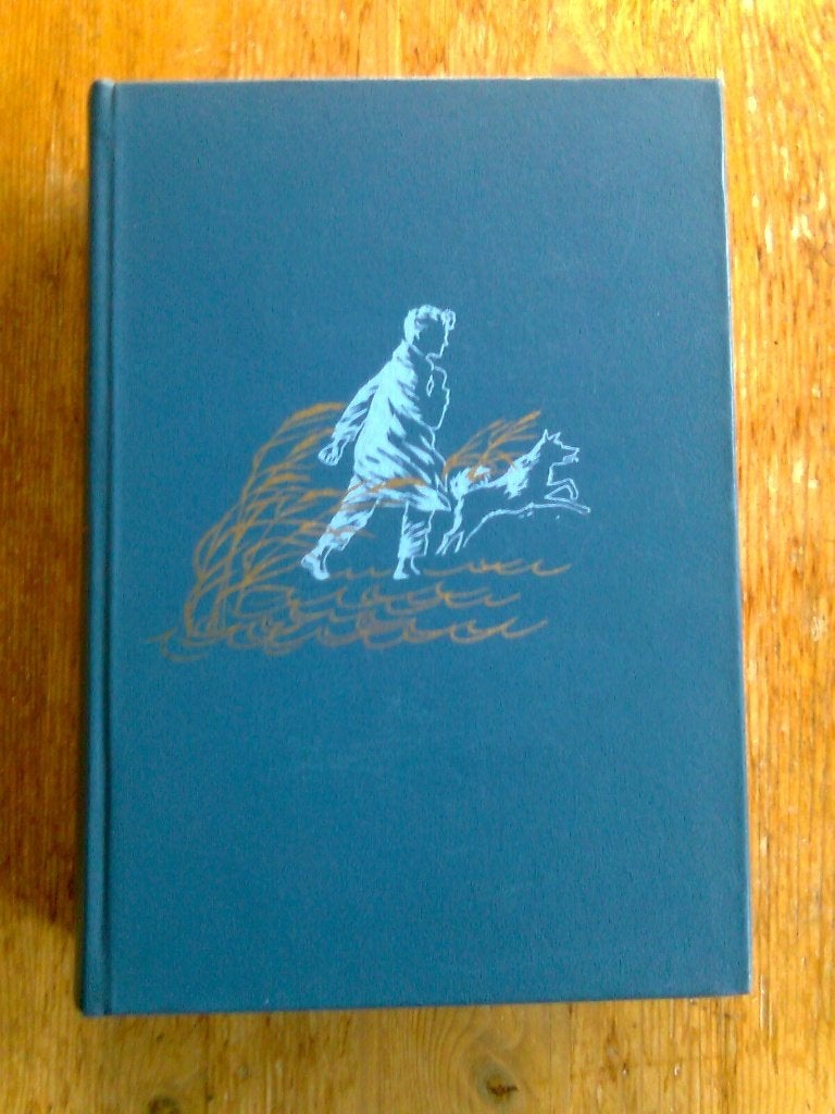 God schudde de wateren,  door Arie van der Lugt, Boeken, Romans, Ophalen of Verzenden, Gelezen