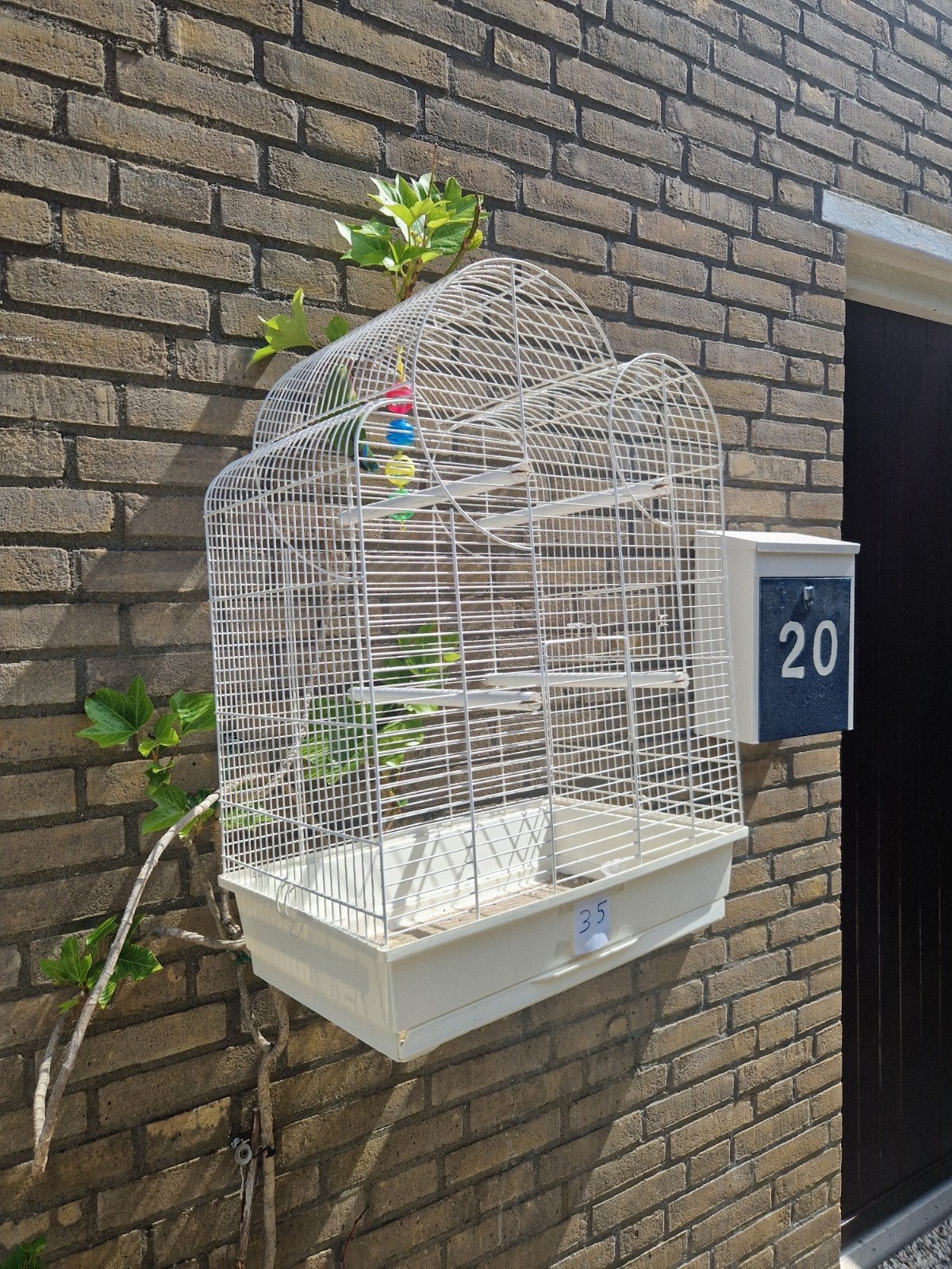 vogelkooi kooi volière grasparkieten agapornissen, Dieren en Toebehoren, Ophalen of Verzenden, Metaal, Vogelkooi