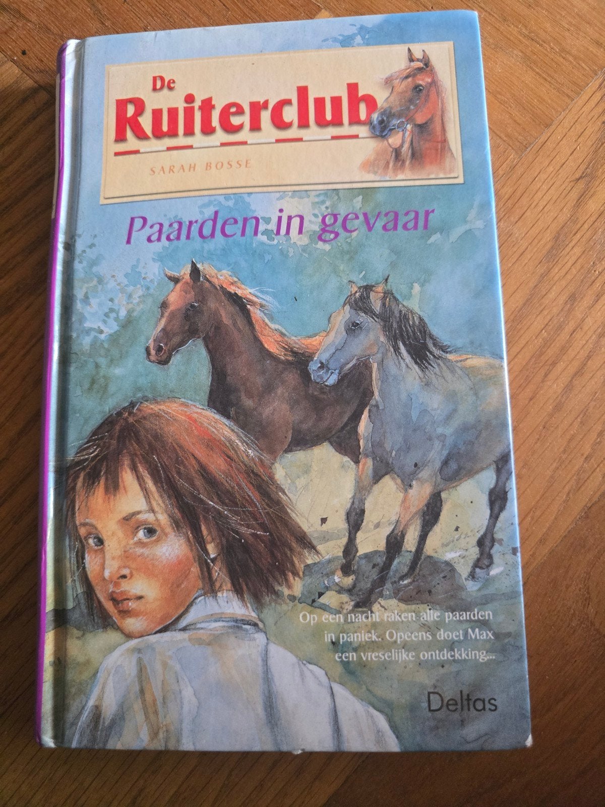 4 leuke paarden boeken!, Boeken, Ophalen, Zo goed als nieuw, Fictie
