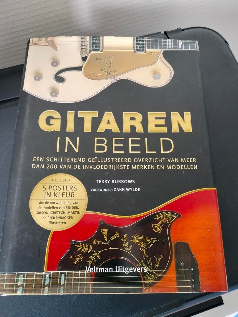 Gitaarboek: Gitaren in Beeld - Terry Burrows, Ophalen of Verzenden, Zo goed als nieuw, Instrument, Terry Burrows