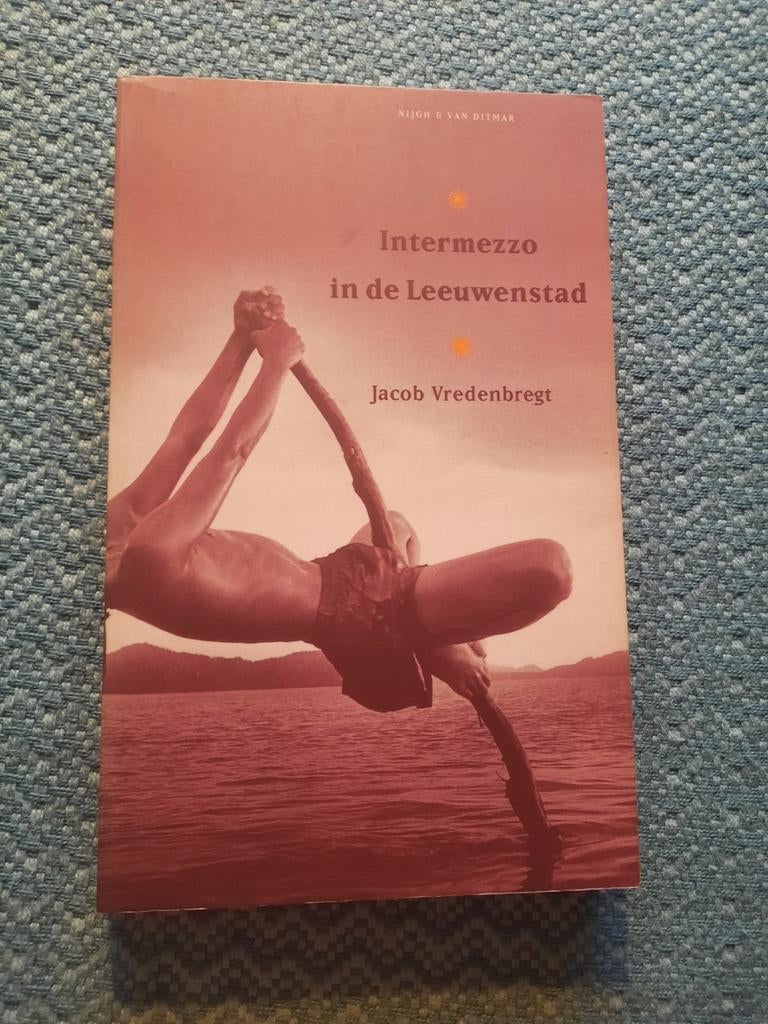 Intermezzo in de Leeuwenstad - Jacob Vredenbergt (Paperback), Boeken, Ophalen of Verzenden