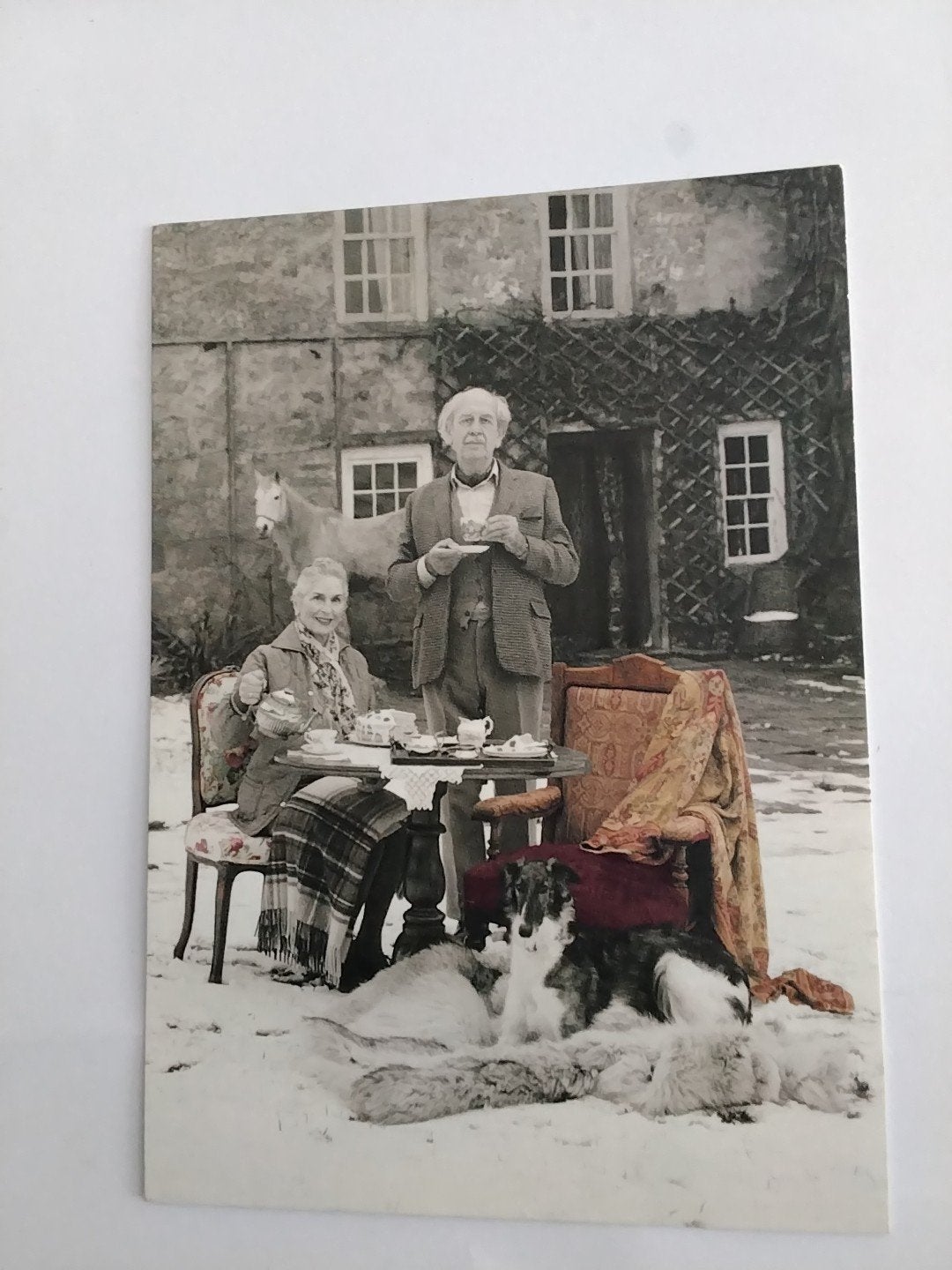 ansichtkaart: Laura Ashley, stel met honden in sneeuw, Ophalen of Verzenden, 1980 tot heden, Gelopen