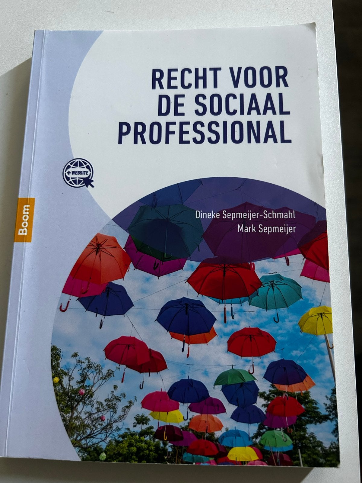 Recht voor de sociaal professional - D. Sepmeijer-Schmahl, Boeken, Ophalen of Verzenden, Gamma, Gelezen, HBO