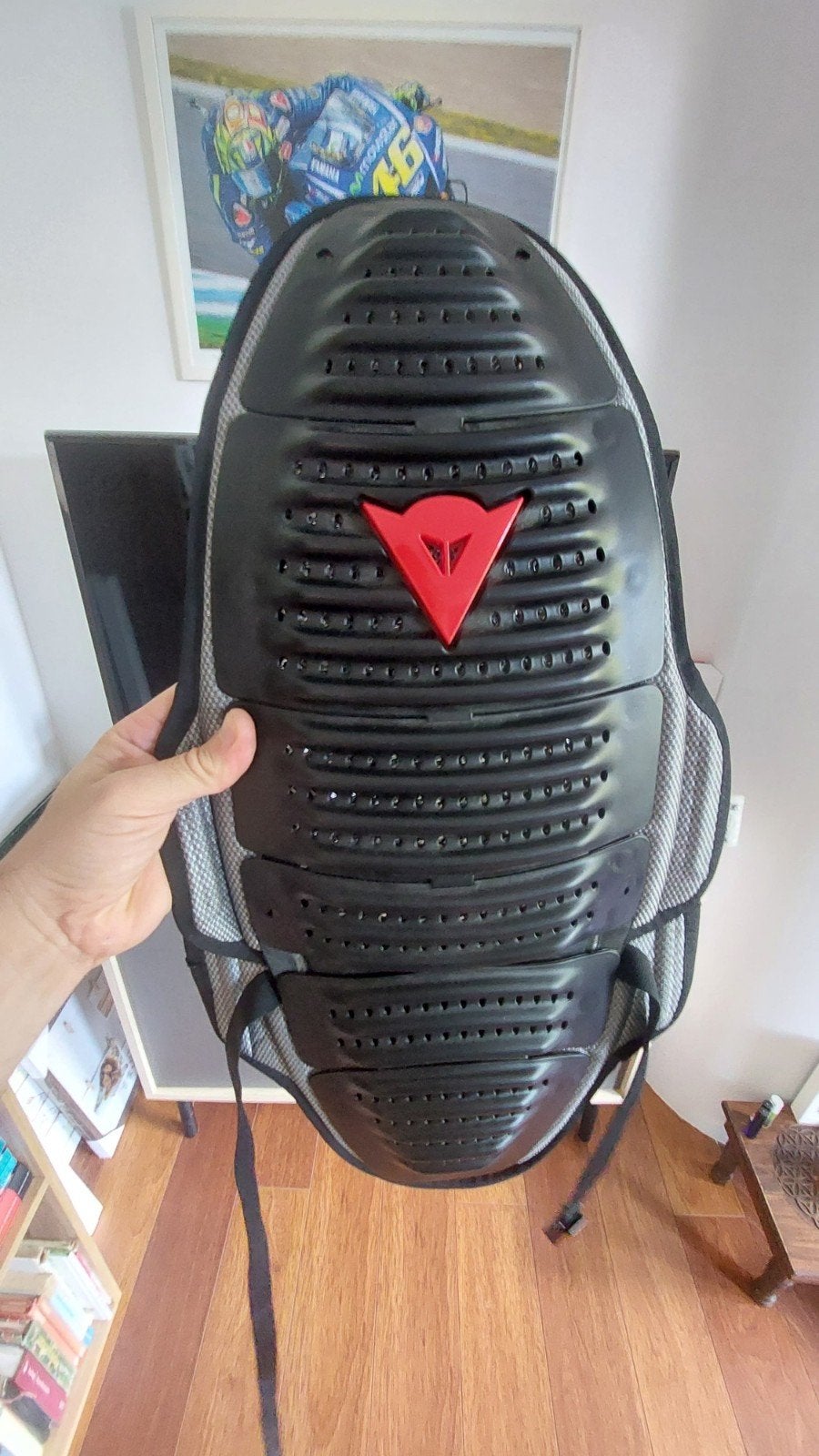 Nieuwe geventileerde Dainese D1 Wave T2 Rugprotector Level, Dainese, Dames, Nieuw zonder kaartje, Combipak