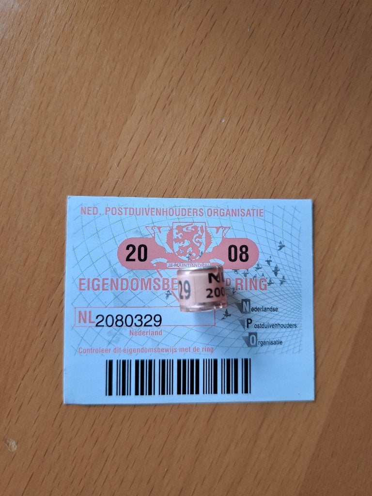 Duivenring 2008 met bewijs postduiven, Ophalen of Verzenden, Vogel, Overige typen