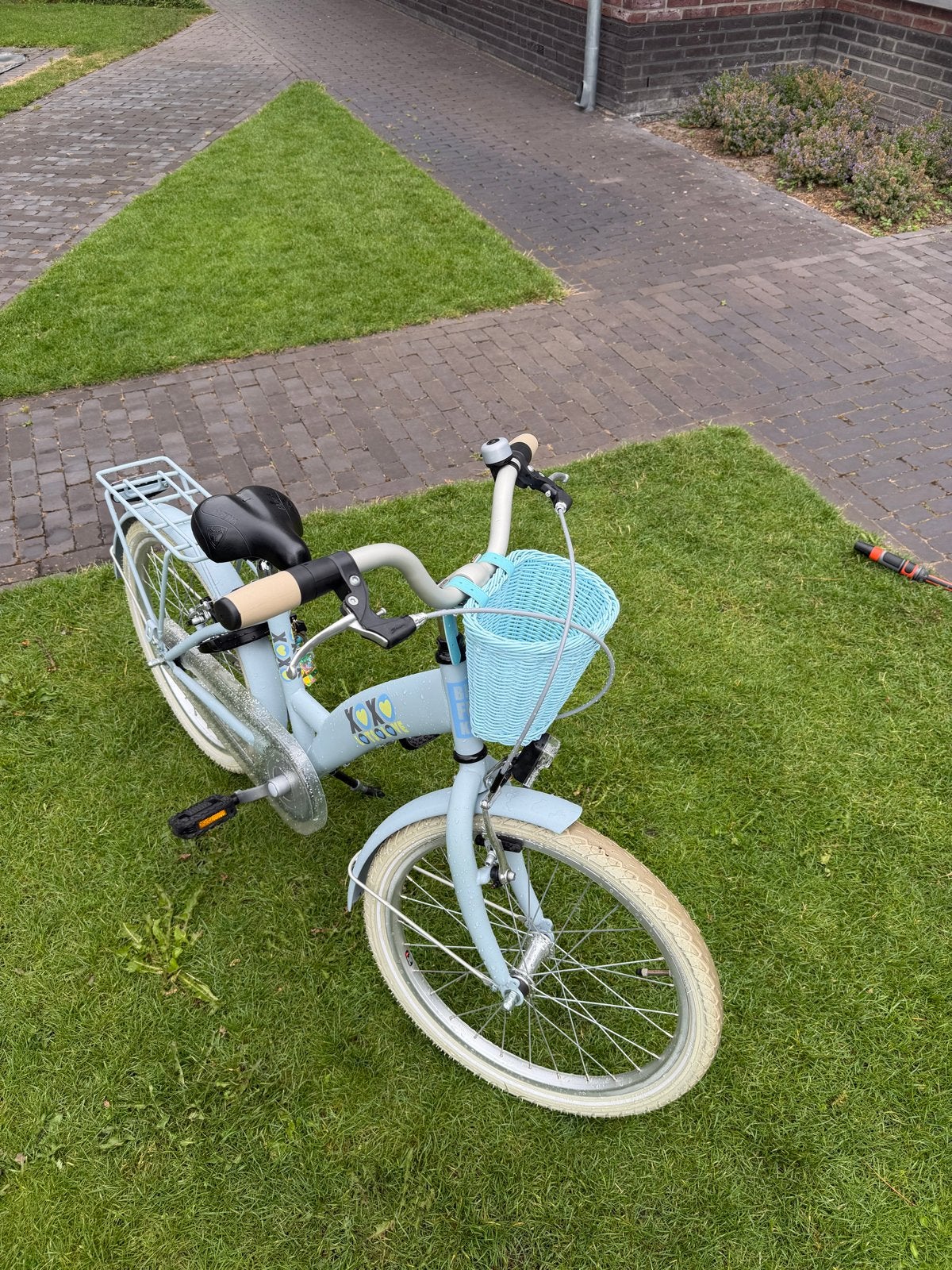 Kinderfiets 20 inch met mandje en bagagedrager, Ophalen, Gebruikt, Velgrem, 16 tot 20 inch