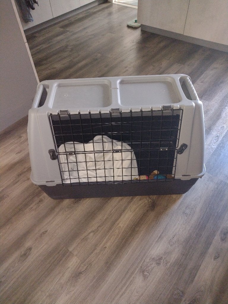Honden Reisbench, Ophalen, Gebruikt, Minder dan 65 cm, Hondenhok