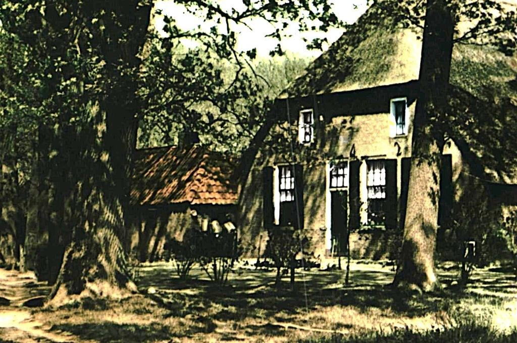 914416 Zuidwolde 1968 Drenthe Steenbergen Boerderij Gelopen, Verzamelen, Ansichtkaarten | Nederland, Ophalen of Verzenden, 1960 tot 1980
