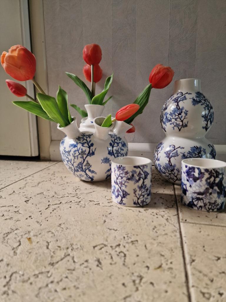 Tulpenvaas Kruidvat, Ophalen of Verzenden