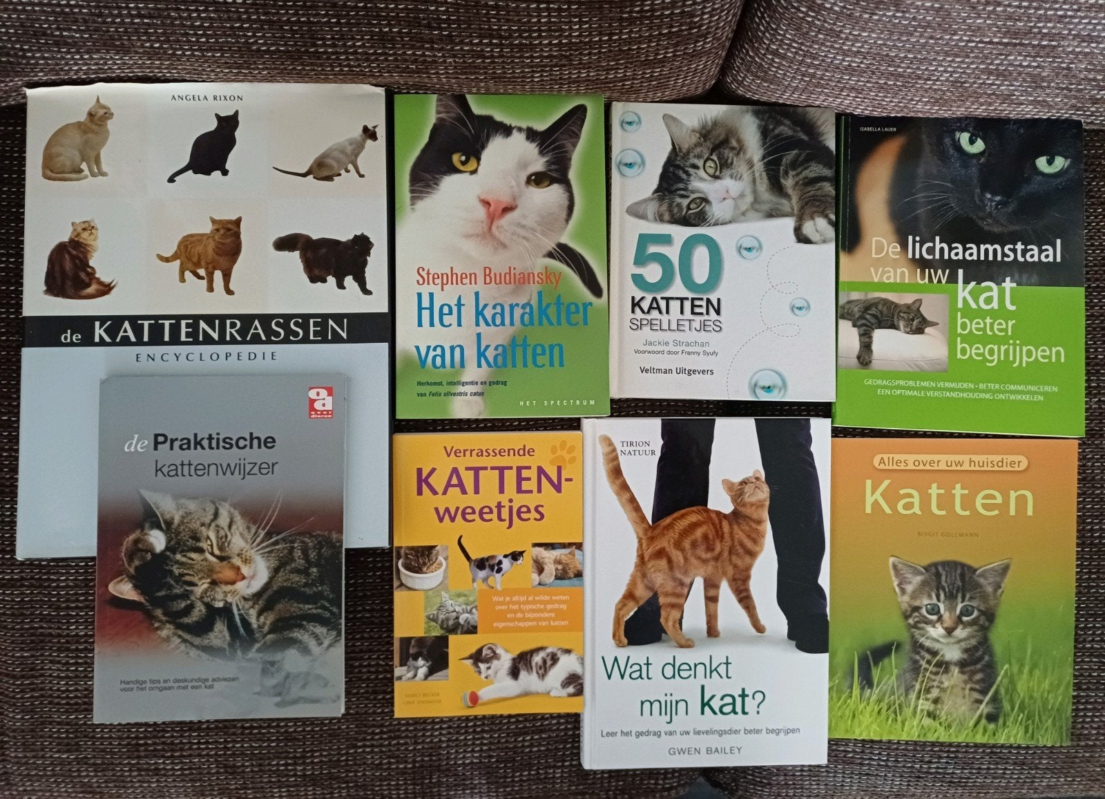Pakket katten boeken oa van Gwen Bailey, Ophalen, Zo goed als nieuw, Katten