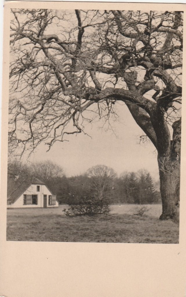 hoenderloo- de pampelt, Ophalen of Verzenden