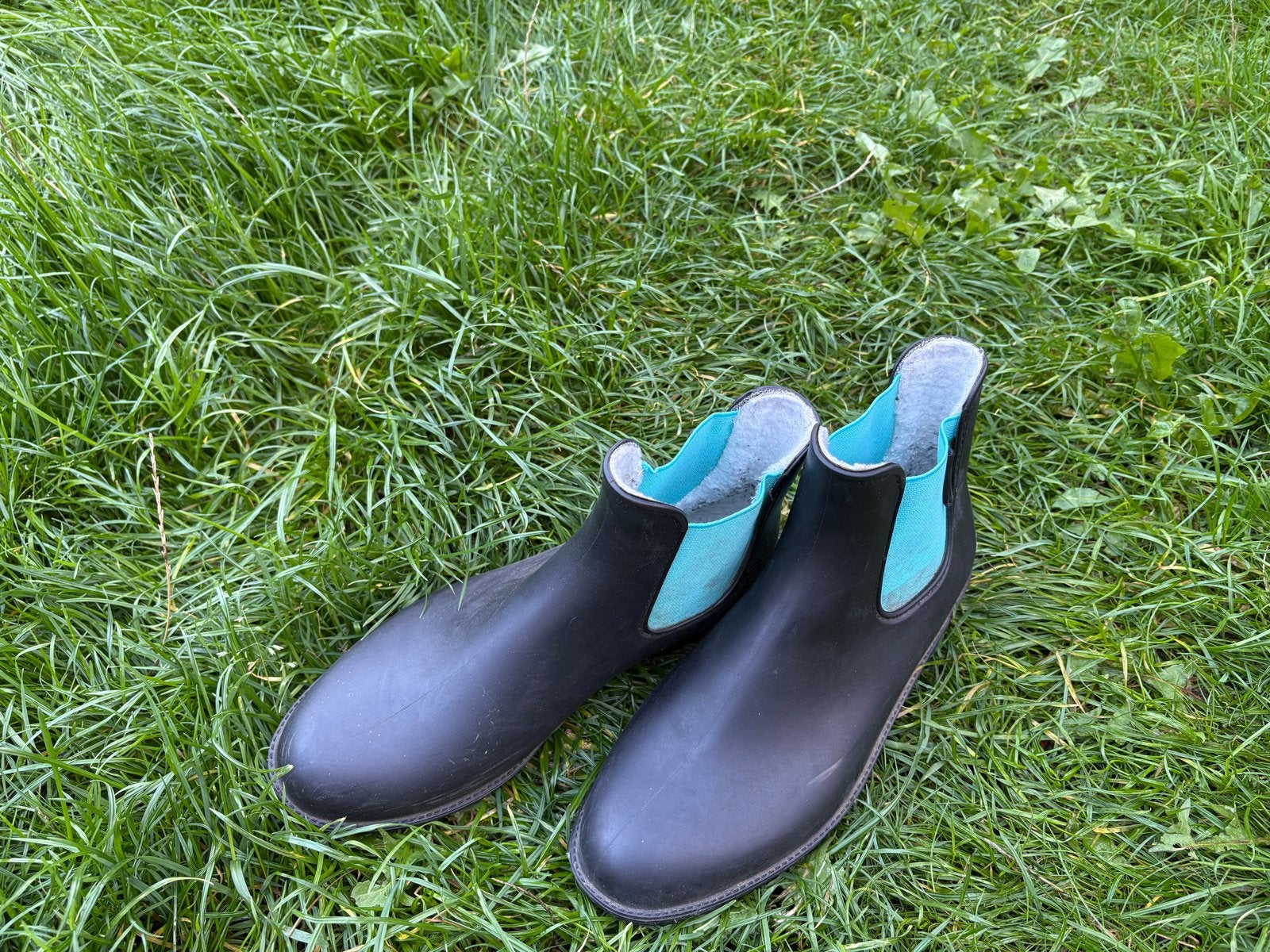 Zwart met turqoise Steeds (Krämer) rijlaarsjes jodhpurs mt39, Dames, Gevoerd, Dressuur, Overige merken