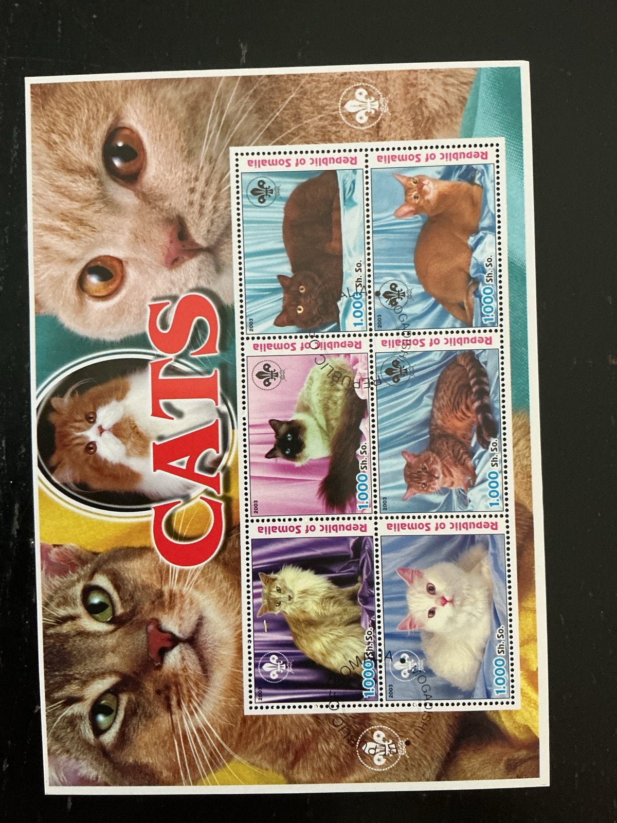 Postzegels Somalië - Katten (2003), Ophalen of Verzenden, Gestempeld