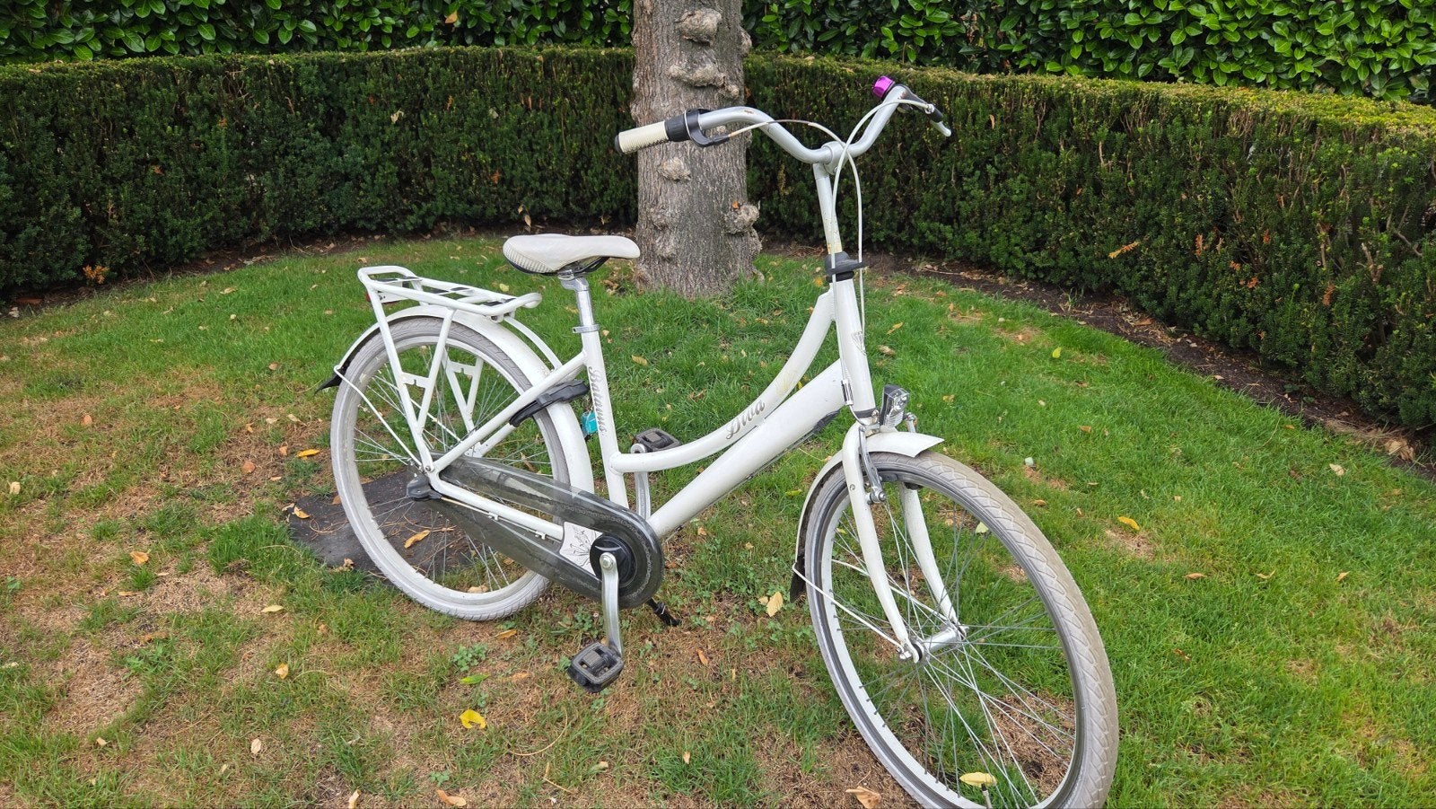 Batavus Diva damesfiets 26 inch met versnellingen, Gebruikt, Velgrem, Versnellingen, Batavus