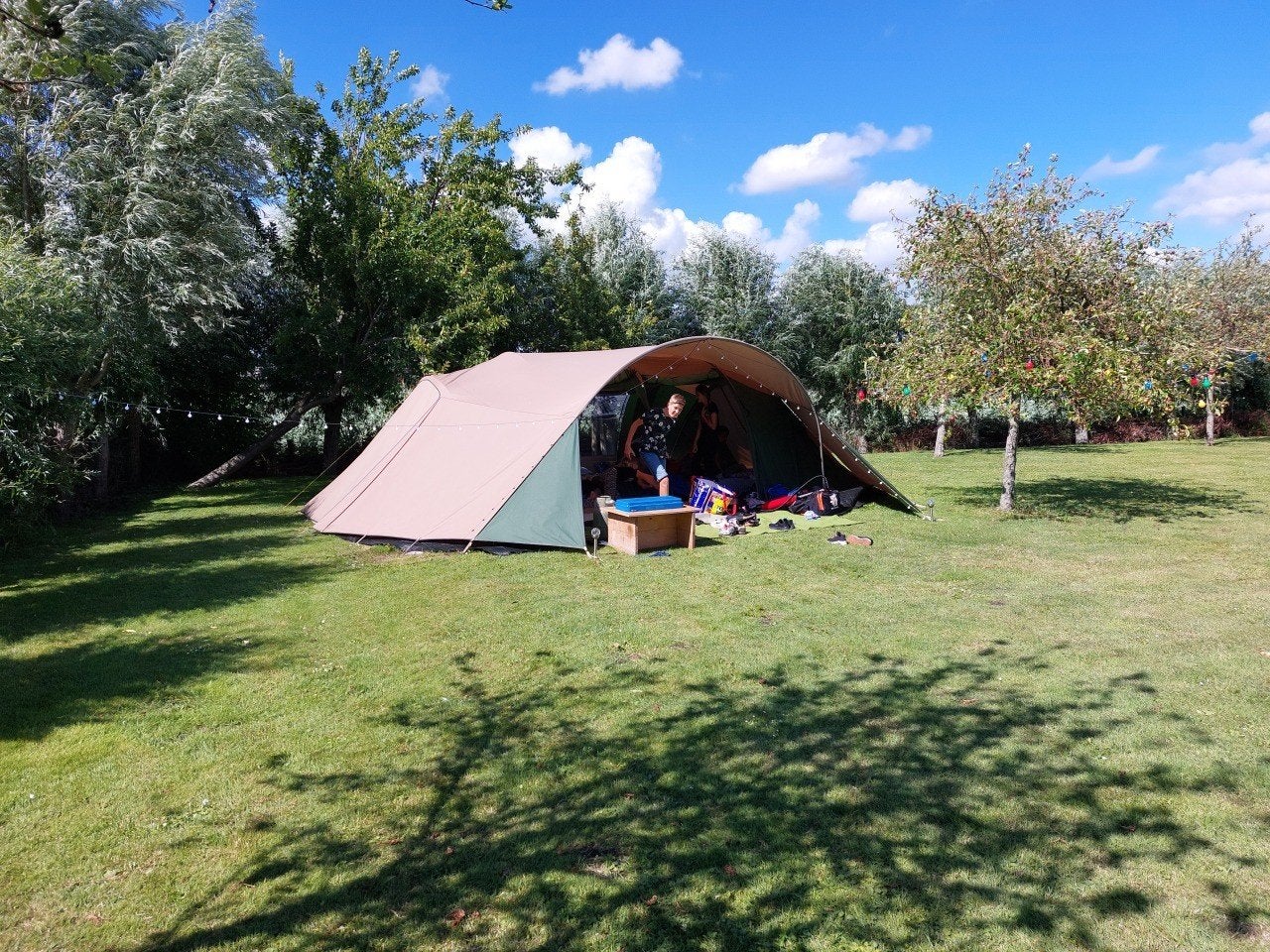 Falco Steenarend 6 tunneltent met afritsbaar kuipzeil, Caravans en Kamperen, Ophalen, Gebruikt, Tot en met 6