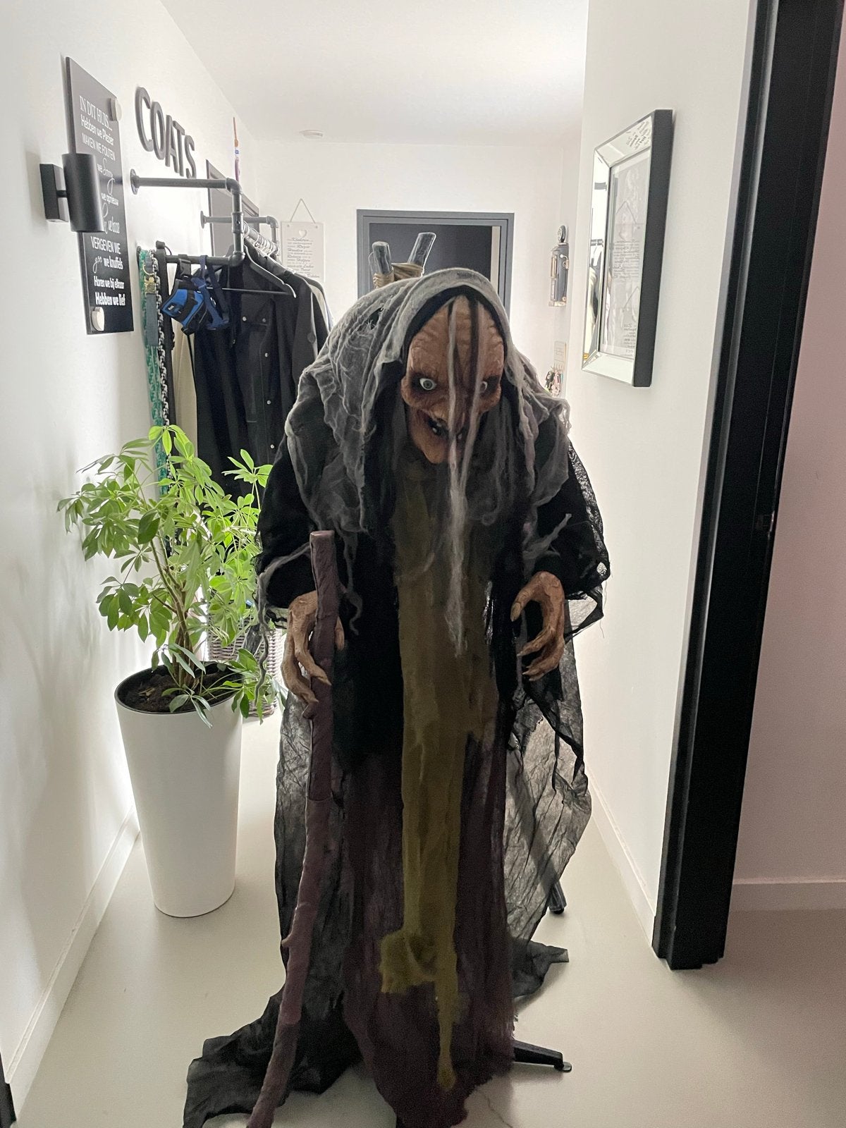 Griezelige Heks Decoratie voor Halloween, Ophalen of Verzenden, Zo goed als nieuw, Versiering, Halloween of Griezel