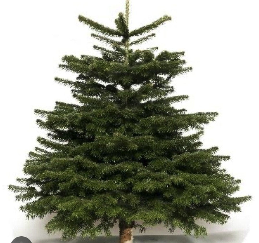 gratis  kunst  kerstboom, Ophalen