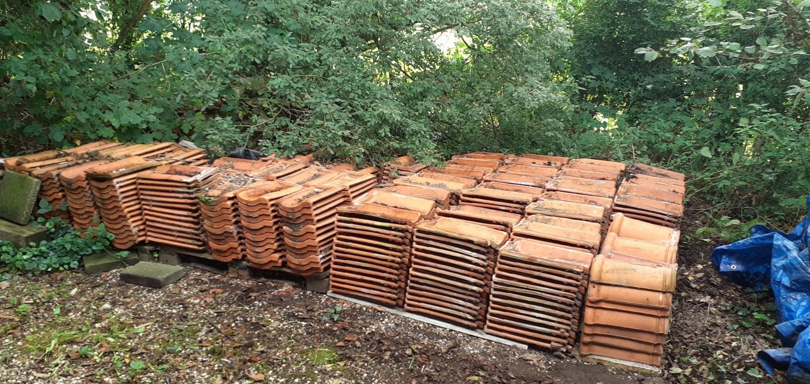 Party oud Hollandse dakpannen  te koop., Ophalen, Gebruikt, Steen of Klei, 15 m² of meer