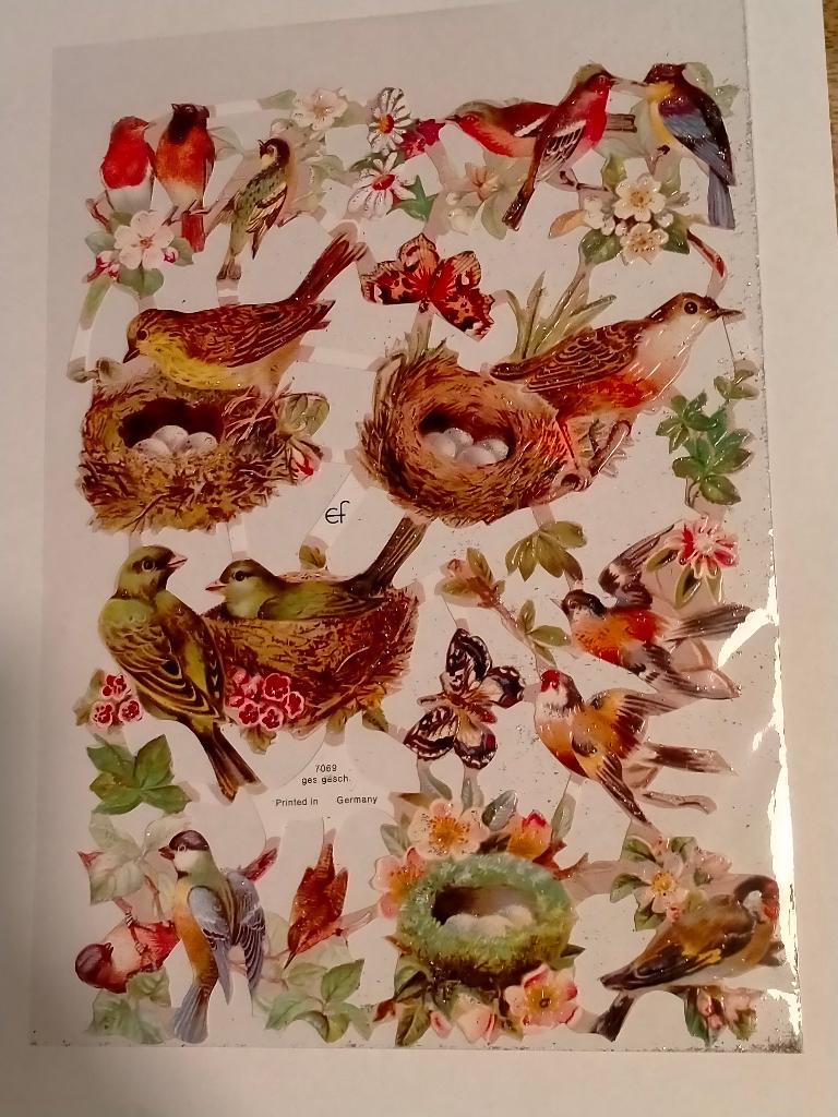 Vogels vogelnest birds poesie poezie plaatjes vel 7069, Verzamelen, Verzenden