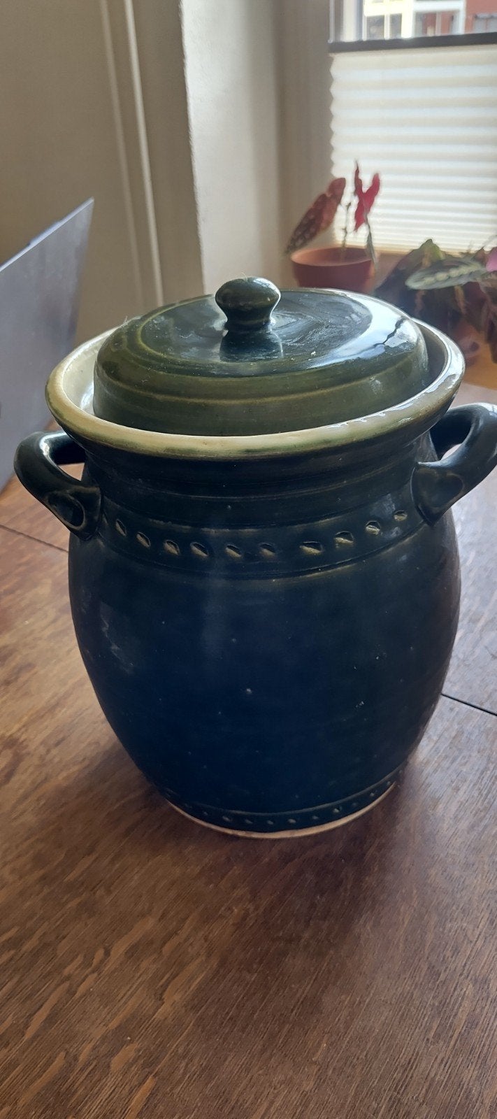 Keulse pot / zuurkoolpot met deksel en gewichten, Ophalen of Verzenden, Gebruikt